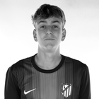 Diego Piqueras Rodríguez